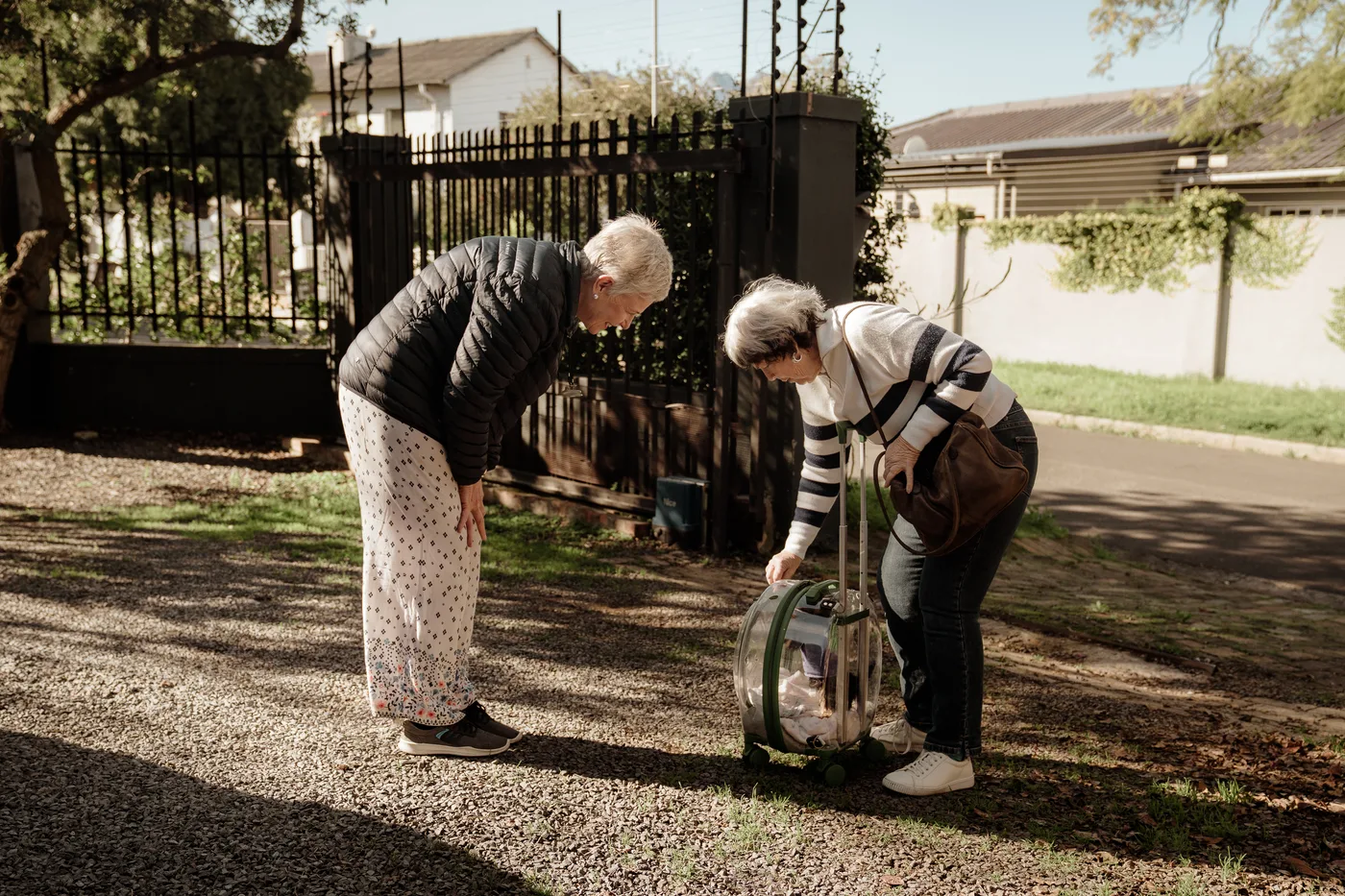 Erika greeting a client and her dog at the gate